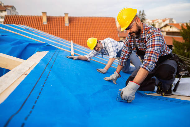Best Metal Roofing Contractor  in Canton, IL