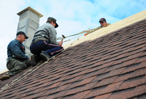 Gutter Installation and Roofing in Canton, IL